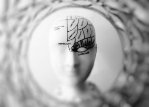 The Neuroscience of Learning and How it affects Training